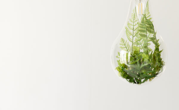 Light bulb with plants inside