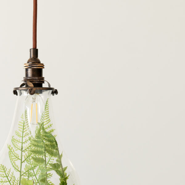 Light bulb with plants inside