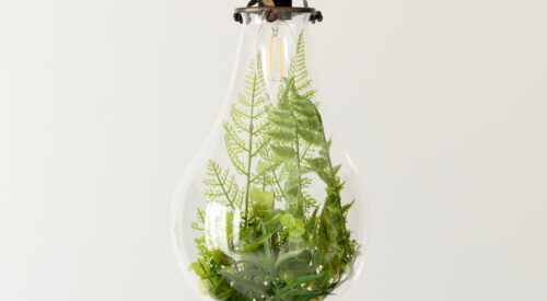 Light bulb with plants inside