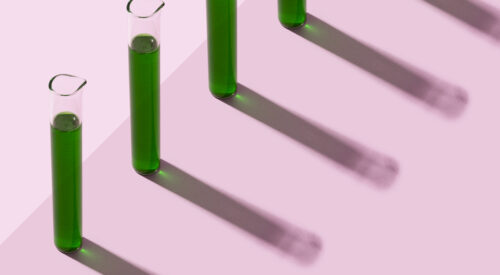 Row of test tubes with liquid, pink background